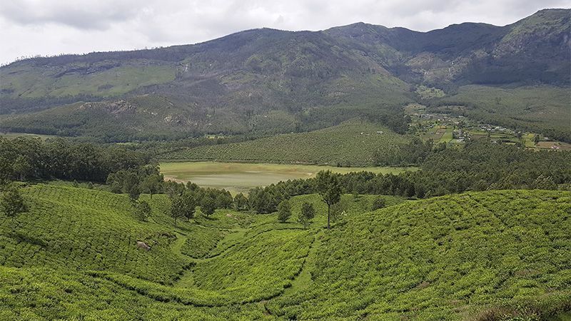 Qué ver en Munnar, India
