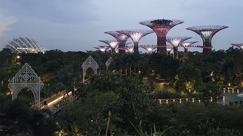 Gardens by the Bay, los Jardines de Singapur