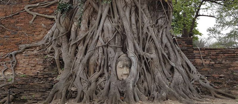 Cómo ir de Bangkok a Ayutthaya, Tailandia