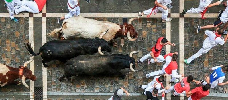 Qué ver en Pamplona
