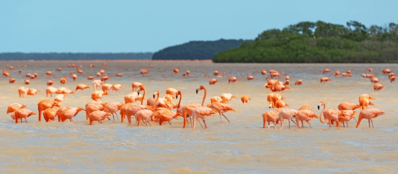 Mejores excursiones desde Mérida, México