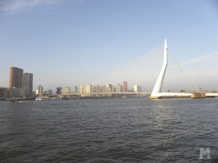 Qué ver en Rotterdam, Holanda - Puente de Erasmo