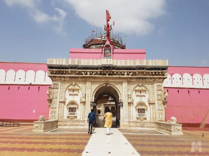 Karni Mata, el Templo de las ratas sagradas en India