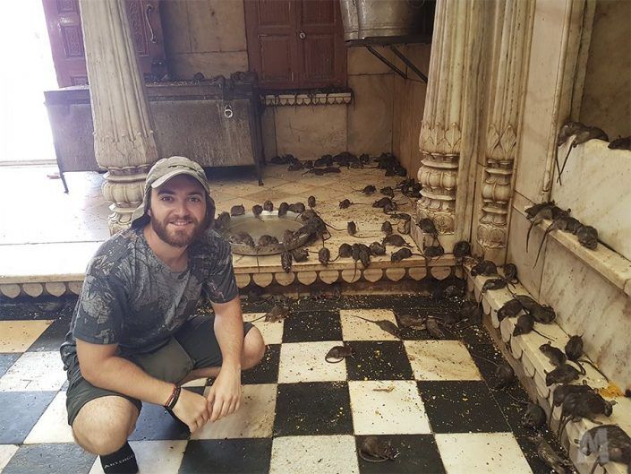 Karni Mata, el Templo de las ratas sagradas en India
