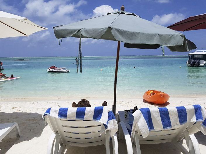 Alojamiento en Dhiffushi, Maldivas - Bibee Maldives