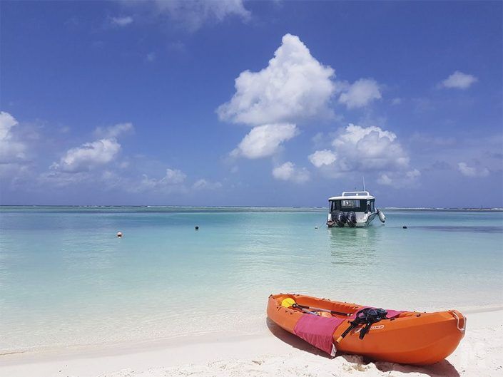Alojamiento en Dhiffushi, Maldivas - Bibee Maldives