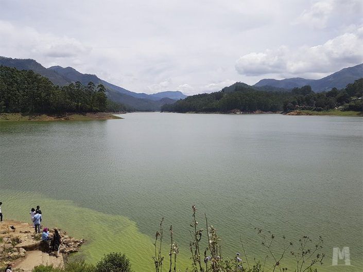Qué ver en Munnar, India - Madupatty Dam
