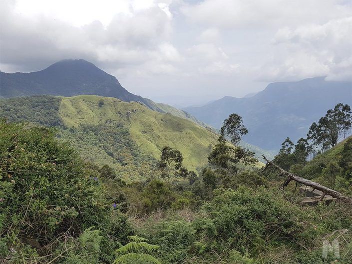 Qué ver en Munnar, India - Top Station View