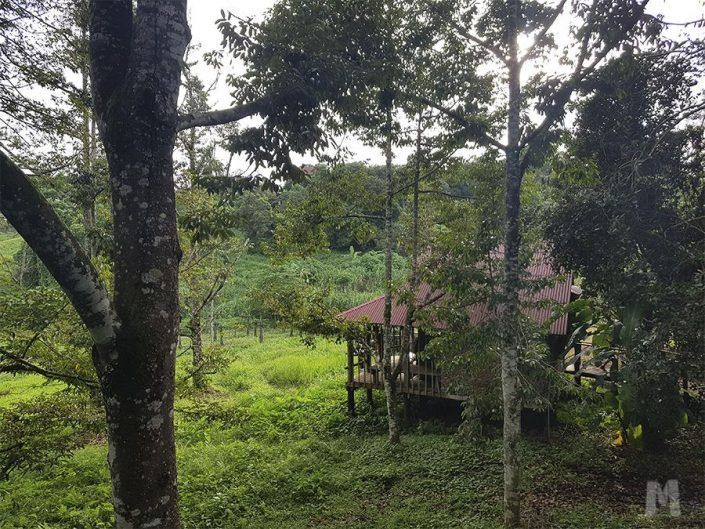 Alojamiento en Banlung, Camboya - Tree Top Eco-Lodge