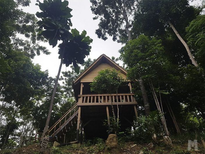 Alojamiento en Koh Rong, Camboya - Palm Beach Bungalow Resort Alojamiento en Koh Rong, Camboya - Palm Beach Bungalow Resort