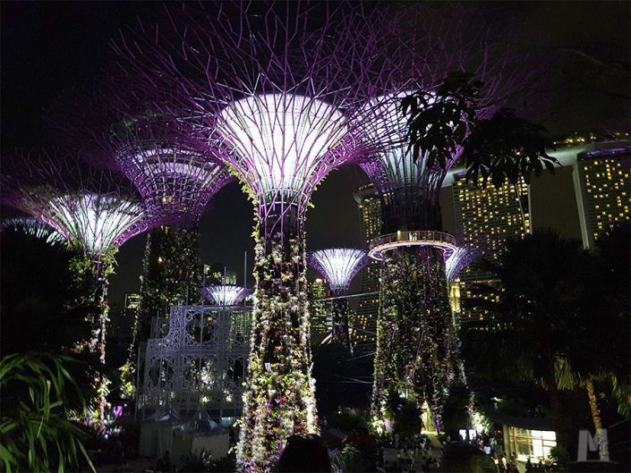 Gardens by the Bay- Jardines de Singapur