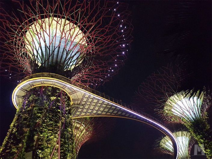 Gardens by the Bay- Jardines de Singapur