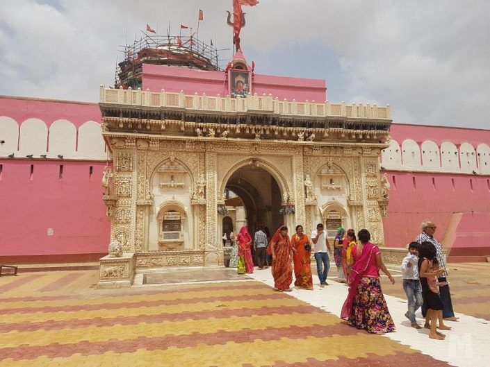Qué ver en Bikaner, India - Templo de las Ratas Sagradas 