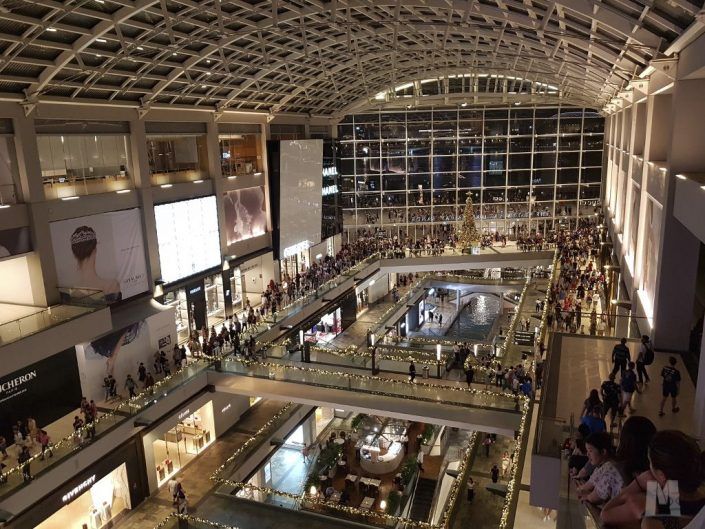 The Shoppes at Marina Bay Sands