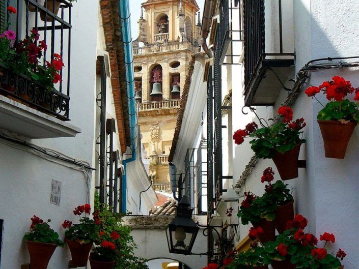 Calleja de las Flores